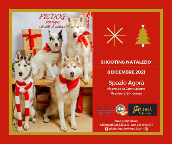 8 Dicembre - Spazio Agorà: shooting natalizio animali domestici 