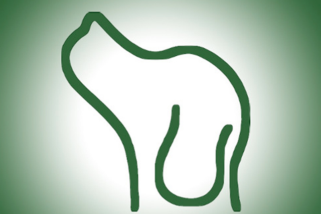 ass-zampa-logo